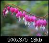 برای دیدن سایز بزرگ روی عکس کلیک کنید

نام:  beautiful-flowers-4.jpg
مشاهده: 45
حجم:  18.0 کیلوبایت
