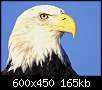 برای دیدن سایز بزرگ روی عکس کلیک کنید

نام:  600x450_Animal_(3).jpg
مشاهده: 227
حجم:  164.6 کیلوبایت