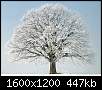 برای دیدن سایز بزرگ روی عکس کلیک کنید

نام:  Winter (8).jpg
مشاهده: 75
حجم:  446.7 کیلوبایت
