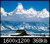 برای دیدن سایز بزرگ روی عکس کلیک کنید

نام:  Winter (27).jpg
مشاهده: 42
حجم:  368.0 کیلوبایت