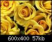 برای دیدن سایز بزرگ روی عکس کلیک کنید

نام:  Yellow-gallery-600x400-jpg.jpg
مشاهده: 34
حجم:  56.9 کیلوبایت