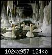 برای دیدن سایز بزرگ روی عکس کلیک کنید

نام:  Swan_20.jpg
مشاهده: 440
حجم:  124.4 کیلوبایت