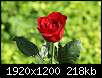 برای دیدن سایز بزرگ روی عکس کلیک کنید

نام:  pc118deff498a33da49cbeff65980bff39_red_rose_08.jpg
مشاهده: 48
حجم:  218.5 کیلوبایت