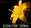 برای دیدن سایز بزرگ روی عکس کلیک کنید

نام:  yellow-flower.jpg
مشاهده: 213
حجم:  327.6 کیلوبایت