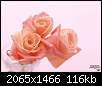 برای دیدن سایز بزرگ روی عکس کلیک کنید

نام:  flowers_nice_160.jpg
مشاهده: 90
حجم:  115.6 کیلوبایت