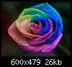 برای دیدن سایز بزرگ روی عکس کلیک کنید

نام:  best-color-rose.jpg
مشاهده: 87
حجم:  25.9 کیلوبایت