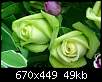 برای دیدن سایز بزرگ روی عکس کلیک کنید

نام:  Green-Rose-04.jpg
مشاهده: 164
حجم:  48.6 کیلوبایت