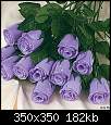 برای دیدن سایز بزرگ روی عکس کلیک کنید

نام:  lavender-roses.jpg
مشاهده: 34
حجم:  181.9 کیلوبایت