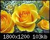 برای دیدن سایز بزرگ روی عکس کلیک کنید

نام:  mahpic_single_yellow_rose.jpg
مشاهده: 60
حجم:  102.9 کیلوبایت
