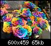برای دیدن سایز بزرگ روی عکس کلیک کنید

نام:  rainbow-roses.jpg
مشاهده: 38
حجم:  65.3 کیلوبایت