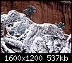 برای دیدن سایز بزرگ روی عکس کلیک کنید

نام:  Winter (13).jpg
مشاهده: 43
حجم:  536.9 کیلوبایت
