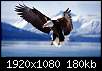 برای دیدن سایز بزرگ روی عکس کلیک کنید

نام:  Eagle-1.jpg
مشاهده: 155
حجم:  180.1 کیلوبایت