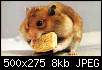 برای دیدن سایز بزرگ روی عکس کلیک کنید

نام:  hamster.jpg
مشاهده: 38
حجم:  7.9 کیلوبایت