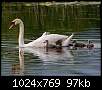 برای دیدن سایز بزرگ روی عکس کلیک کنید

نام:  Swan_32.jpg
مشاهده: 79
حجم:  96.5 کیلوبایت