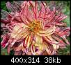 برای دیدن سایز بزرگ روی عکس کلیک کنید

نام:  normal_flowers-persianv-photo_(51).jpg
مشاهده: 41
حجم:  38.1 کیلوبایت