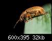 برای دیدن سایز بزرگ روی عکس کلیک کنید

نام:  Insects_09.jpg
مشاهده: 47
حجم:  31.9 کیلوبایت
