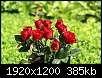 برای دیدن سایز بزرگ روی عکس کلیک کنید

نام:  pc16d523dd21742d92f693097e12099c7c_red_rose_10.jpg
مشاهده: 27
حجم:  385.4 کیلوبایت