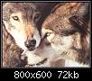 برای دیدن سایز بزرگ روی عکس کلیک کنید

نام:  Wolf1046.jpg
مشاهده: 47
حجم:  71.6 کیلوبایت