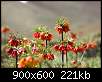 برای دیدن سایز بزرگ روی عکس کلیک کنید

نام:  n00041468-r-b-014.jpg
مشاهده: 56
حجم:  221.3 کیلوبایت