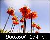 برای دیدن سایز بزرگ روی عکس کلیک کنید

نام:  n00041468-r-b-006.jpg
مشاهده: 65
حجم:  173.9 کیلوبایت