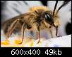 برای دیدن سایز بزرگ روی عکس کلیک کنید

نام:  Insects_11.jpg
مشاهده: 30
حجم:  49.0 کیلوبایت