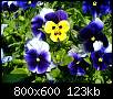 برای دیدن سایز بزرگ روی عکس کلیک کنید

نام:  800px-Viola001.jpg
مشاهده: 63
حجم:  123.3 کیلوبایت