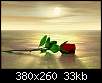 برای دیدن سایز بزرگ روی عکس کلیک کنید

نام:  redrose.jpg
مشاهده: 120
حجم:  32.9 کیلوبایت