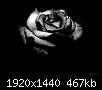 برای دیدن سایز بزرگ روی عکس کلیک کنید

نام:  black_dark_flowers_roses.jpg
مشاهده: 790
حجم:  467.3 کیلوبایت
