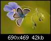 برای دیدن سایز بزرگ روی عکس کلیک کنید

نام:  butterfly-in-the-puuurple-f.jpg
مشاهده: 27
حجم:  42.2 کیلوبایت