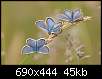 برای دیدن سایز بزرگ روی عکس کلیک کنید

نام:  butterfly-in-the-row.jpg
مشاهده: 52
حجم:  44.8 کیلوبایت