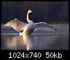 برای دیدن سایز بزرگ روی عکس کلیک کنید

نام:  Swan_33.jpg
مشاهده: 57
حجم:  50.5 کیلوبایت