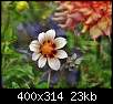 برای دیدن سایز بزرگ روی عکس کلیک کنید

نام:  normal_flowers-persianv-photo_(50).jpg
مشاهده: 41
حجم:  22.8 کیلوبایت