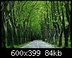 برای دیدن سایز بزرگ روی عکس کلیک کنید

نام:  france-tunnel-of-trees-st-remy_29067_600x450.jpg
مشاهده: 25
حجم:  84.5 کیلوبایت