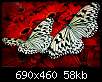 برای دیدن سایز بزرگ روی عکس کلیک کنید

نام:  wonderful-butterfly.jpg
مشاهده: 37
حجم:  57.8 کیلوبایت