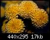 برای دیدن سایز بزرگ روی عکس کلیک کنید

نام:  Chrysanthemum.jpg
مشاهده: 29
حجم:  16.7 کیلوبایت