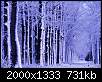 برای دیدن سایز بزرگ روی عکس کلیک کنید

نام:  Winter (46).jpg
مشاهده: 44
حجم:  730.6 کیلوبایت
