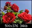 برای دیدن سایز بزرگ روی عکس کلیک کنید

نام:  beautiful-flowers-16.jpg
مشاهده: 27
حجم:  33.9 کیلوبایت