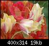 برای دیدن سایز بزرگ روی عکس کلیک کنید

نام:  normal_flowers-persianv-photo_(21).jpg
مشاهده: 45
حجم:  18.7 کیلوبایت