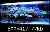 برای دیدن سایز بزرگ روی عکس کلیک کنید

نام:  mr-kang-reef-aquarium.jpg
مشاهده: 436
حجم:  76.6 کیلوبایت