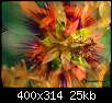 برای دیدن سایز بزرگ روی عکس کلیک کنید

نام:  normal_flowers-persianv-photo_(18).jpg
مشاهده: 51
حجم:  24.5 کیلوبایت