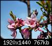 برای دیدن سایز بزرگ روی عکس کلیک کنید

نام:  King 2011 1920x1440 (4).jpg
مشاهده: 42
حجم:  767.3 کیلوبایت