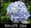 برای دیدن سایز بزرگ روی عکس کلیک کنید

نام:  beautiful-flowers-10.jpg
مشاهده: 29
حجم:  31.5 کیلوبایت