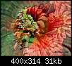 برای دیدن سایز بزرگ روی عکس کلیک کنید

نام:  normal_flowers-persianv-photo_(46).jpg
مشاهده: 43
حجم:  31.0 کیلوبایت