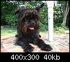 برای دیدن سایز بزرگ روی عکس کلیک کنید

نام:  affenpinscher6.jpg
مشاهده: 29
حجم:  40.4 کیلوبایت